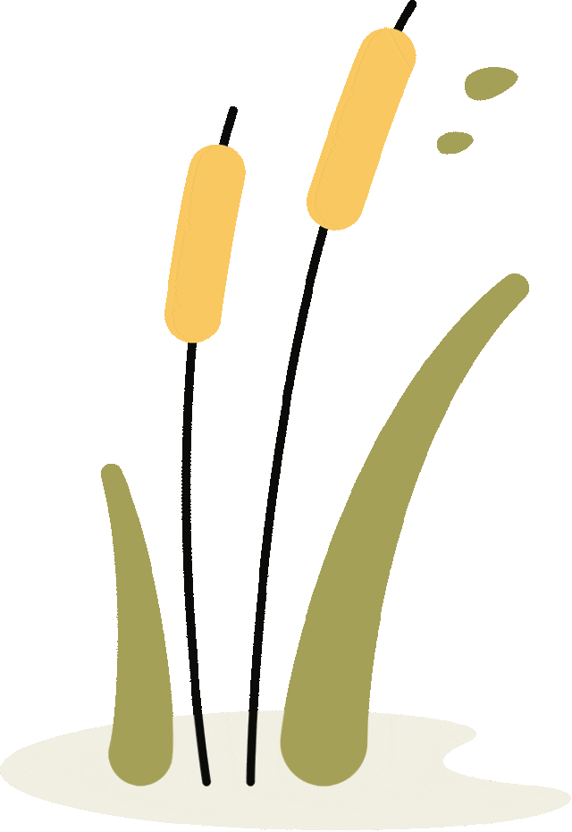 12月机票¥200起，秋冬游出行别错过！