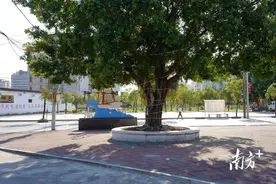 扮靓城乡迎新春！汕头发布村庄清洁行动倡议书图片