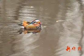 哈市周末降雨降温，可以试试这个穿衣法→图片