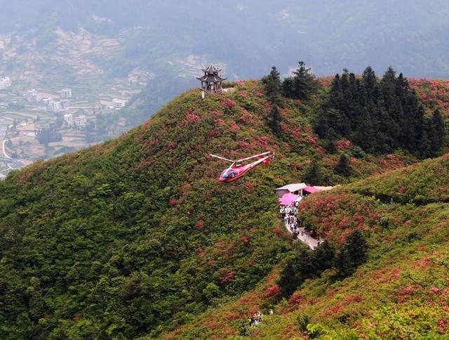 景区联动系列报道（一）| 擘画新篇：景区联动改革引领旅游产业提质升级