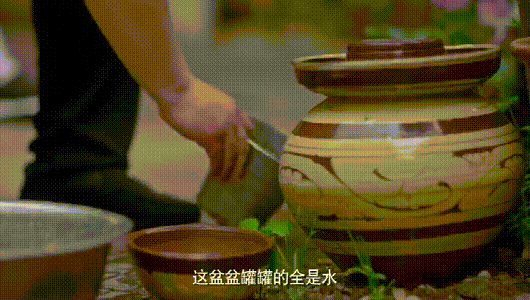 【疫情防控】关键窗口期！省疾控中心首席专家支招阻断疫情传播链