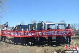 黑龙江东宁：连续36年放流1500万余尾大马哈鱼苗图片