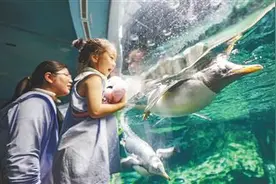 儋州海花岛暑期迎客来图片