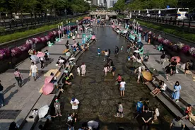 首尔蚊子少　缘于天太热图片