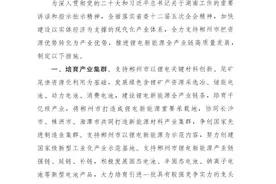 重磅！湖南出台政策推动郴州锂电新能源全产业链高质量发展图片