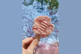 从樱花中汲取灵感，武汉小伙把一支雪糕卖进80个景区图片