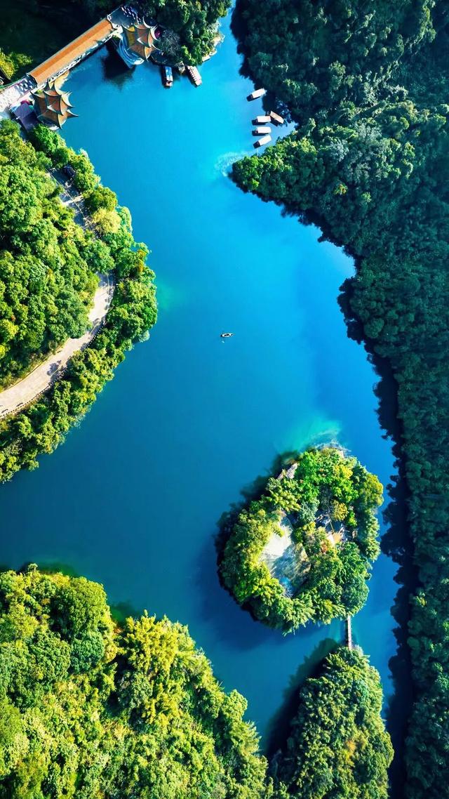 星湖秋冬推介会亮相！深圳、香港市民纷纷点赞