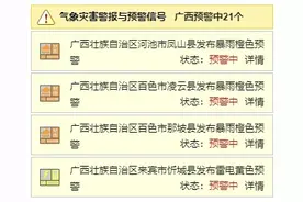 雷暴大风+冰雹，广西强降雨+强对流天气来袭！未来几天南宁天气……图片