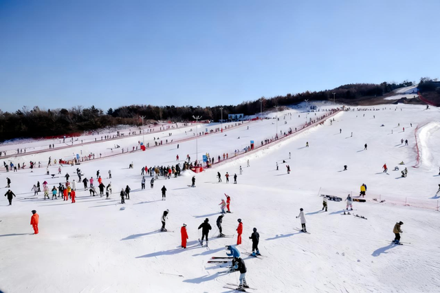 青岛冬日十大消费场景，把一月玩出花样~