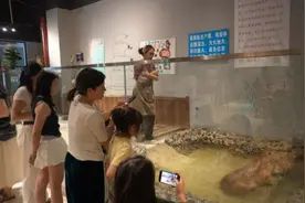 “卡皮巴拉”宠咖走红，成为学生解压新宠图片