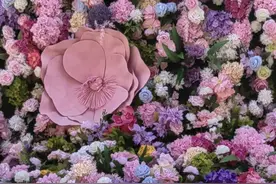 首届北京朝阳花园节来啦！（附最全打卡攻略）图片