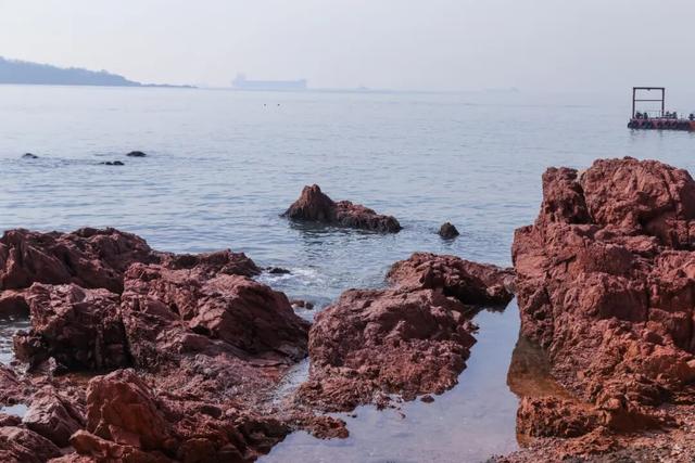 这才是青岛人私藏的城市封面！“醉美”红礁石、中国首个水族馆，年卡99元起畅玩！