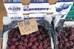 抢“鲜”而来！入夏的第一口杨梅贵不贵图片