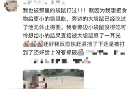 事发上海野生动物园！游客爆料：被袋鼠打伤图片