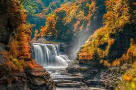 同学的友谊作文(精选15篇)图片