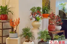 最近很多绍兴人都在忙这事，你入手了吗？图片