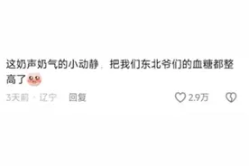 东北人有多稀罕南方女孩，小士豆甜度爆表，让东北大哥五迷三道了图片