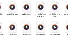 在NAS上部署一个功能强大的音乐刮削软件『Music Tag Web』图片