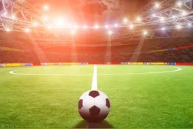 2024赛季职业联赛准入名单出炉 陕西联合上榜 西安荣海递补图片