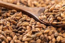 大麦茶不仅，有助消化导滞，还有几种功效，一文总结，早知早受益图片