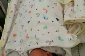 芃芃的成长视频