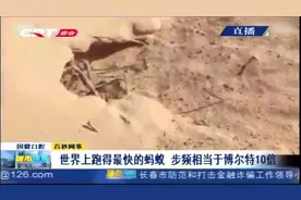 无奇不有！世界上跑的最快的蚂蚁，步频相当于博尔特10倍