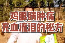 鸡眼睛肿痛，充血流泪的秘方视频封面