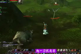 魔兽世界怀旧服，交任务的时候偶遇稀有风蛇，果断抓之