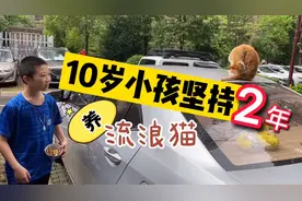 10岁小孩偷偷喂养流浪猫，遭母亲反对，斗智斗勇2年，猫又怀孕了