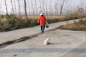 农村美女到田间投食，穿着套鞋满地跑，不像城里人视频封面