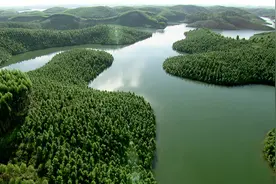 “感人瞬间”系列微电影微视频——黄文秀图片