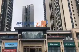 仲恺[庆祝][庆祝]碧桂园中洲云麓在售85/95/115（3-4房）#幸福里好房推荐官 图片