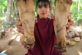 东南亚特色户外美食，灵魂级牛蹄脚的烹饪技巧视频封面