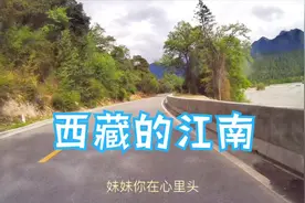 被称为“西藏江南”的林芝地区有一个波密县，森林繁茂，冰川众多