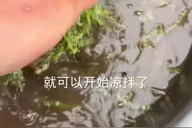 西北人最爱吃的鹿角菜，午饭简单拌点下酒真真美的很
