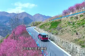 周末带娃西安周边2天1晚，踏春赏花自驾游，一路上游山玩水视频封面