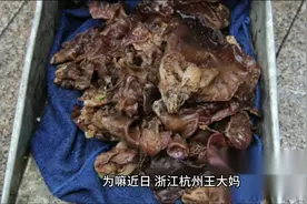 大妈为何吃木耳，能中毒？第一集。视频封面