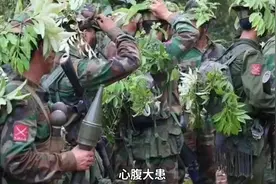 #上热门 #果敢同盟军大捷：又有一个连缅甸正规军缴械投降视频封面