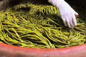 柳州螺蛳粉配料酸豆角腌制加工过程，卫生安全更美味！#地方美食