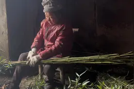 爸爸忙着做桌几；妈妈扎扫箒来年用#记录真实生活