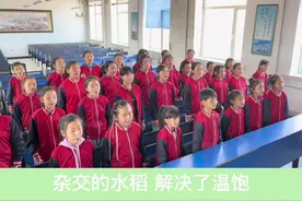 袁爷爷我们想您了#村里的孩儿用歌声怀念袁老 #袁隆平逝世一周年 #稻香学生版视频封面