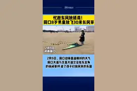 忙趁东风放纸鸢！周口8岁男孩飞30米长风筝#人小鬼大视频封面