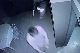 无声之地身法很重要，教科书式逃跑方式。#真人密室逃脱视频封面