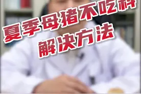 越来越热，养猪碰到母猪不吃让我们很头疼，希望这个视频能帮助更多养猪朋友 #养殖视频封面