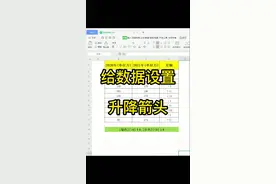 在数据前显示升降箭头，趋势走向更加直观#wps #excel