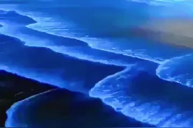 #蓝眼泪 #石狮 太美了[色]没想到我们这边还会有蓝眼泪，不需要去别的海边蹲守了.....#带你去看海视频封面