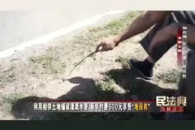 【利用相邻土地铺设灌溉水管 每年付费600元享受“地役权”