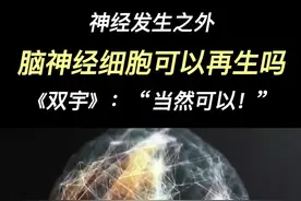 《双宇》脑神经细胞可以再生吗 #科学 #探索 #科幻 #涨知识 #冷知识 #生物 视频封面