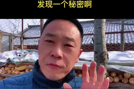 你都吃过哪种？2丑牛4卯兔6巳蛇8未羊10酉鸡12亥猪！十二生肖偶数位的肉，都特别好吃！#春节 #十二生肖 #2021新农人计划 #汪泉 @DOU+小助手 视频封面