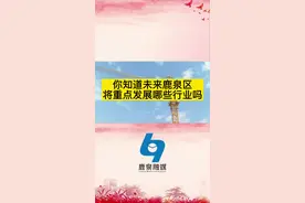 鹿泉区重点发展这些行业#重点企业 #鹿泉 #发展规划 视频封面